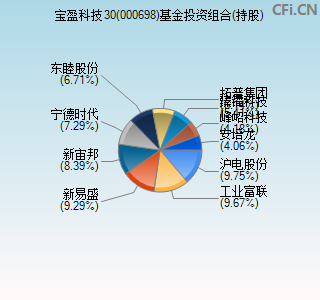 000698基金投资组合(持股)图