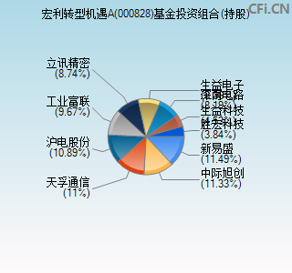 000828基金投资组合(持股)图