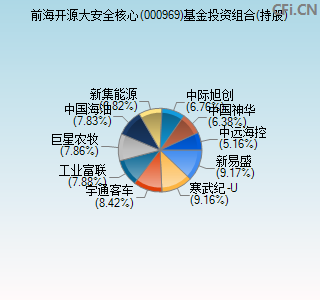 000969基金投资组合(持股)图