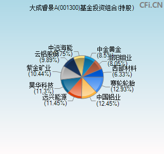 001300基金投资组合(持股)图