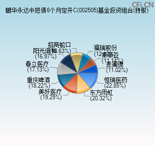 002505基金投资组合(持股)图