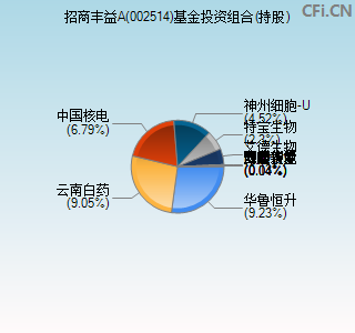 002514基金投资组合(持股)图