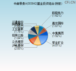 003842基金投资组合(持股)图