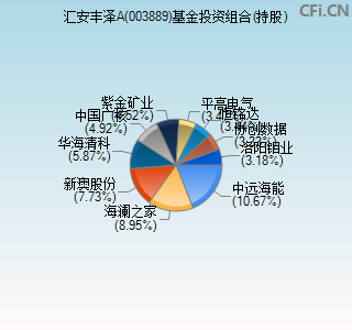 003889基金投资组合(持股)图