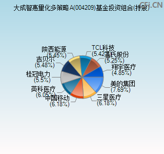 004209基金投资组合(持股)图