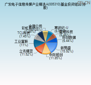 005310基金投资组合(持股)图