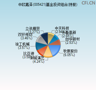 005421基金投资组合(持股)图