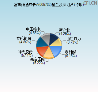 005732基金投资组合(持股)图