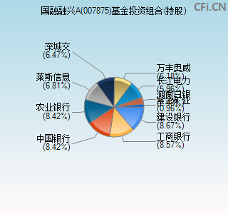 007875基金投资组合(持股)图