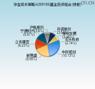 009189基金投资组合(持股)图