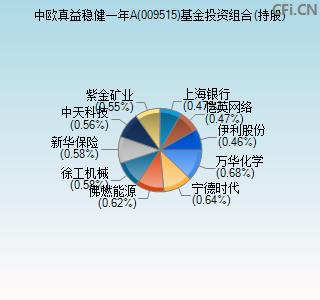 009515基金投资组合(持股)图