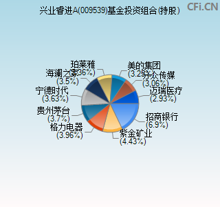 009539基金投资组合(持股)图