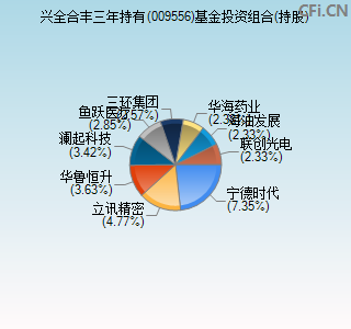 009556基金投资组合(持股)图