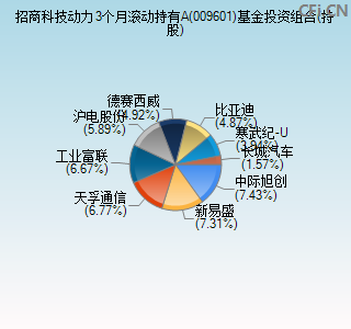 009601基金投资组合(持股)图