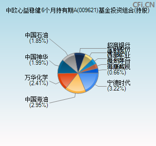 009621基金投资组合(持股)图