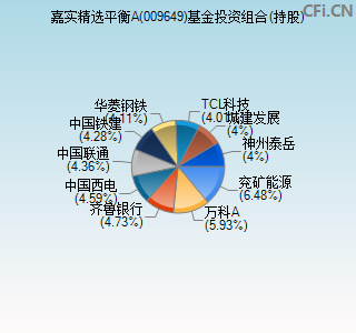 009649基金投资组合(持股)图