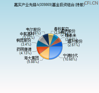 009869基金投资组合(持股)图