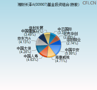 009907基金投资组合(持股)图