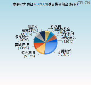 009909基金投资组合(持股)图