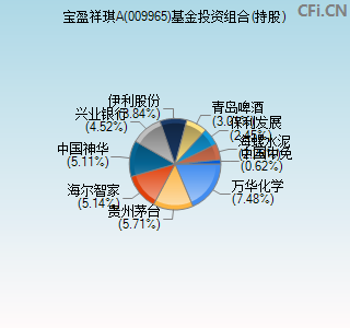 009965基金投资组合(持股)图