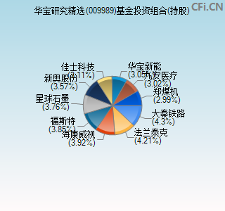 009989基金投资组合(持股)图