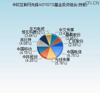 010213基金投资组合(持股)图