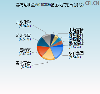 010389基金投资组合(持股)图