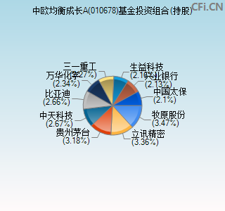 010678基金投资组合(持股)图