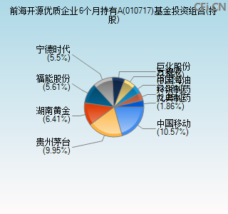 010717基金投资组合(持股)图