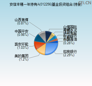 012256基金投资组合(持股)图