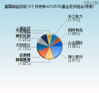 012576基金投资组合(持股)图