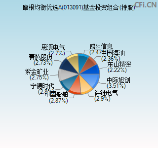 013091基金投资组合(持股)图