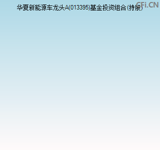 013395基金投资组合(持股)图