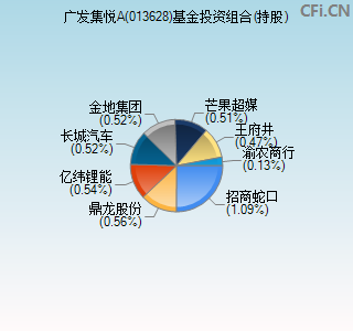 013628基金投资组合(持股)图