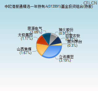 013991基金投资组合(持股)图