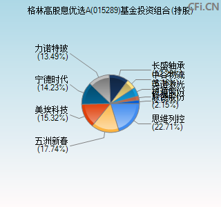 015289基金投资组合(持股)图