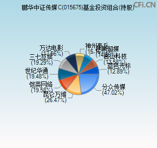 015675基金投资组合(持股)图