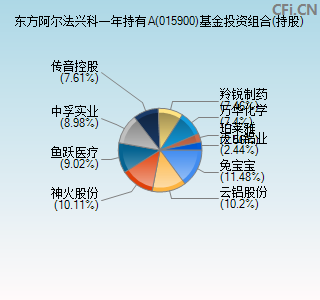 015900基金投资组合(持股)图