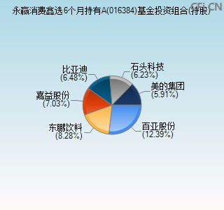 016384基金投资组合(持股)图