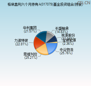 017079基金投资组合(持股)图