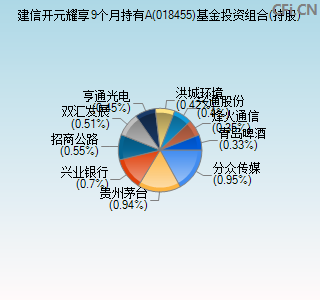 018455基金投资组合(持股)图