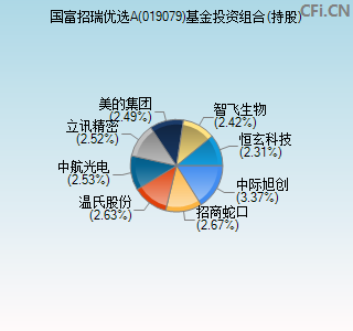 019079基金投资组合(持股)图