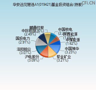 019421基金投资组合(持股)图