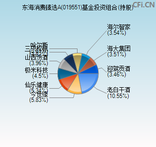 019551基金投资组合(持股)图