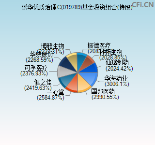 019789基金投资组合(持股)图