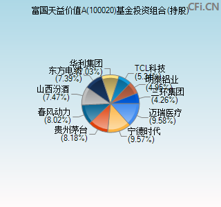 100020基金投资组合(持股)图