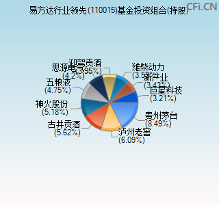 110015基金投资组合(持股)图