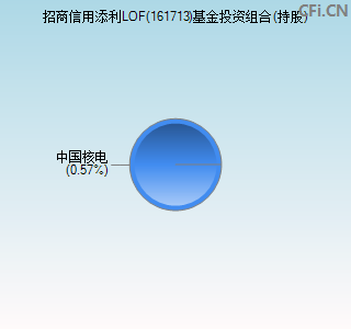 161713基金投资组合(持股)图