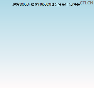 165309基金投资组合(持股)图