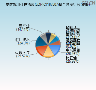 167507基金投资组合(持股)图